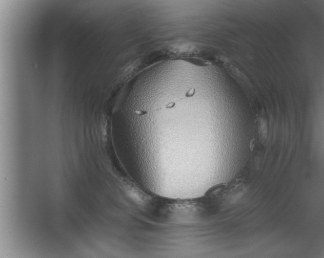 X0000068260668200604281527