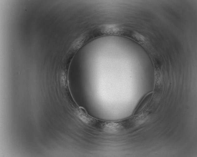 X0000068260669200604281527