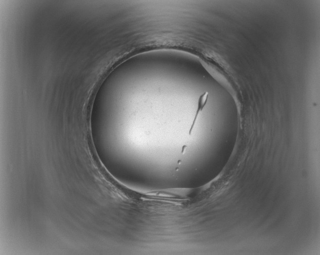 X0000068260673200604281526