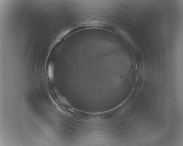 X0000068260674200604281526