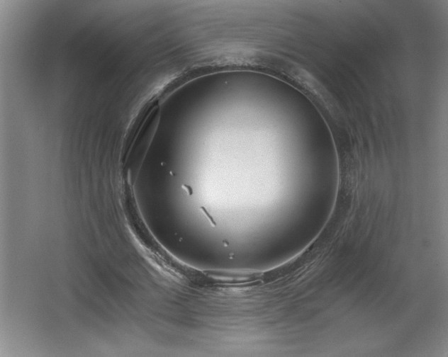 X0000068260677200604281526