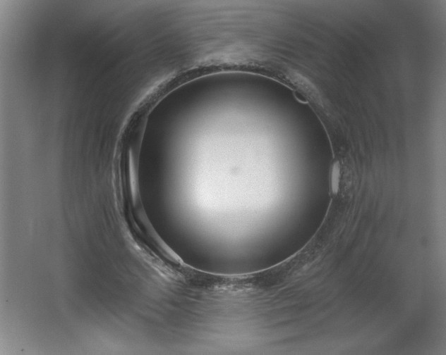 X0000068260680200604281526