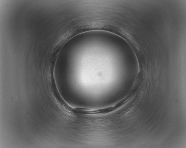 X0000068260681200604281526