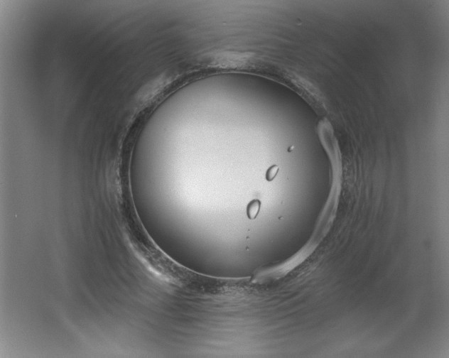 X0000068260682200604281526