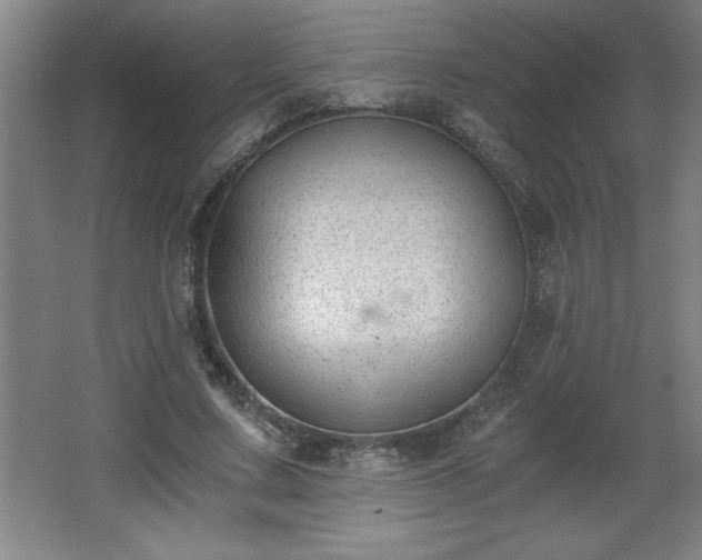 X0000068260683200604281526