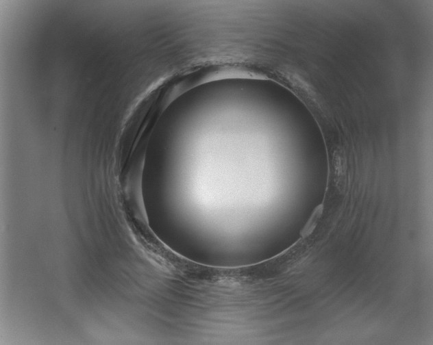 X0000068260684200604281526