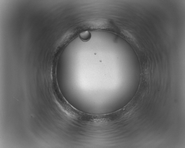 X0000068260686200604281526