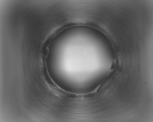 X0000068260688200604281526