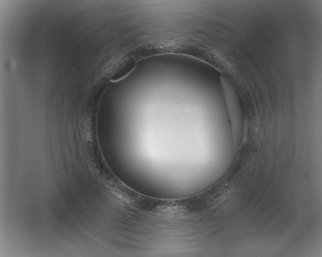 X0000068260689200604281526