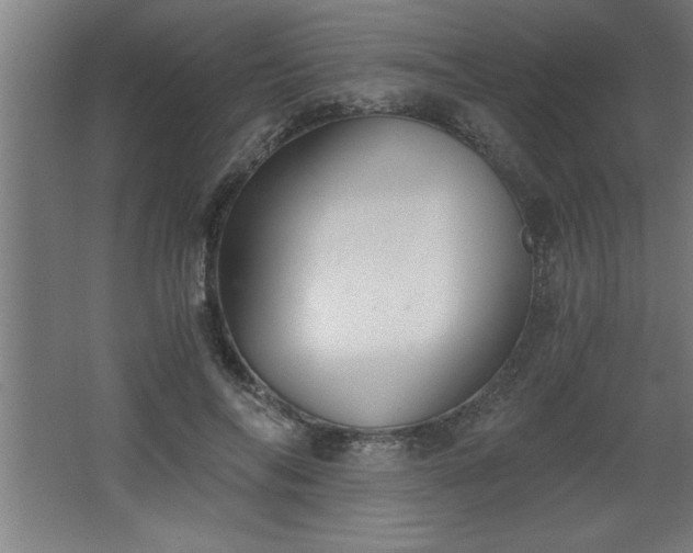 X0000068260694200604281526