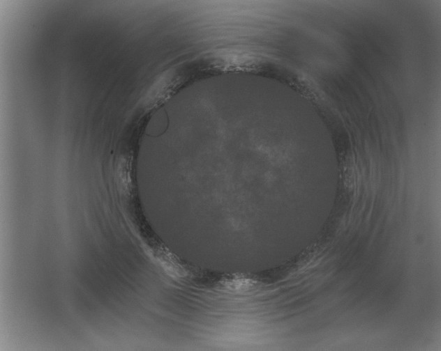 X0000068260695200604281526