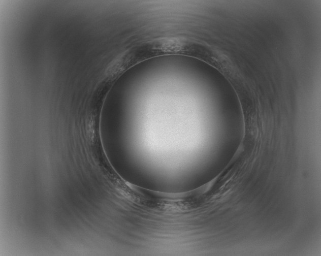 X0000068260697200604281526