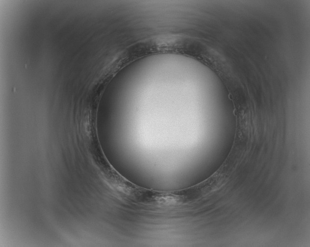 X0000068260698200604281526