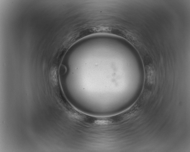 X0000068260699200604281526