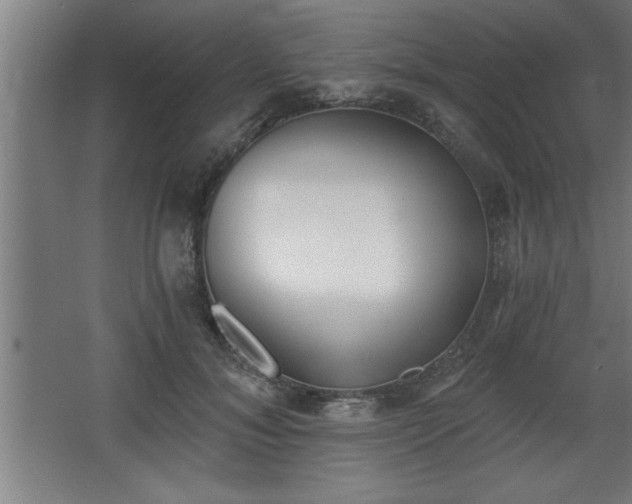 X0000068260700200604281526