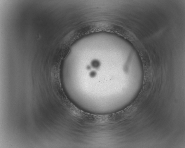 X0000068260701200604281526