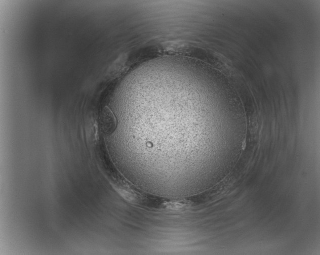 X0000068260703200604281526