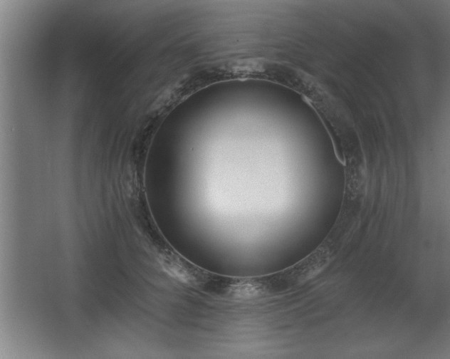 X0000068260704200604281526