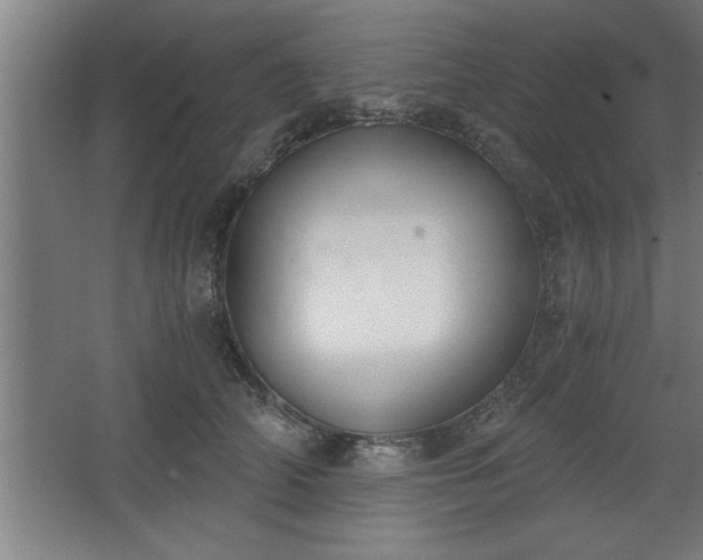 X0000068260706200604281526