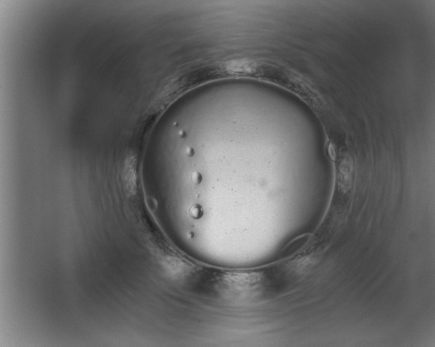 X0000068260707200604281526