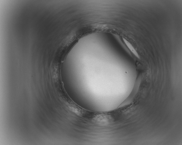 X0000068260708200604281526