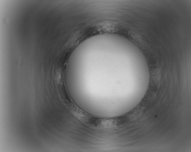 X0000068260709200604281526