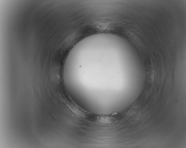 X0000068260710200604281526