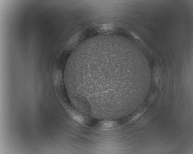 X0000068260711200604281526