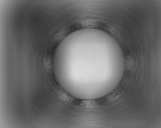 X0000068260713200604281526