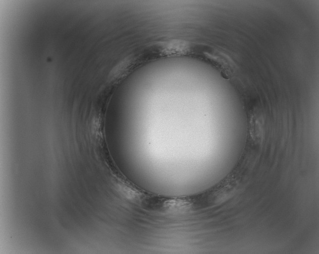 X0000068260714200604281526