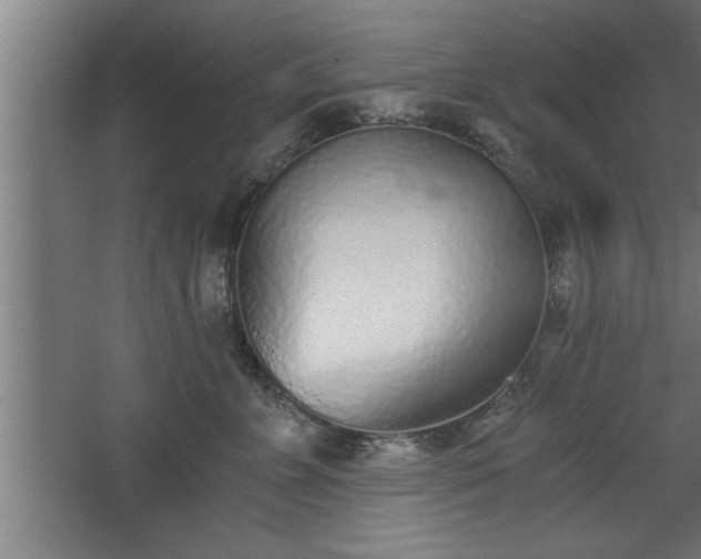 X0000068260715200604281526