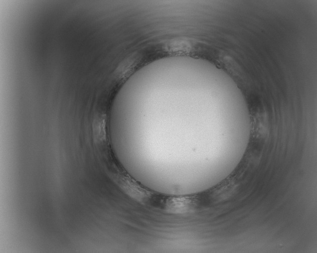 X0000068260717200604281525