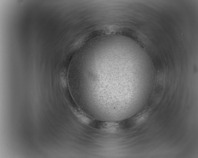 X0000068260719200604281525