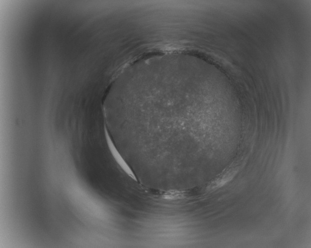 X0000068260720200604281525