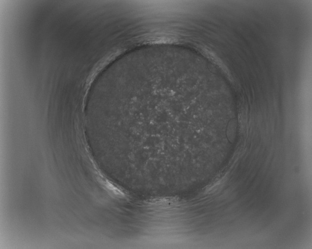 X0000068260721200604281525