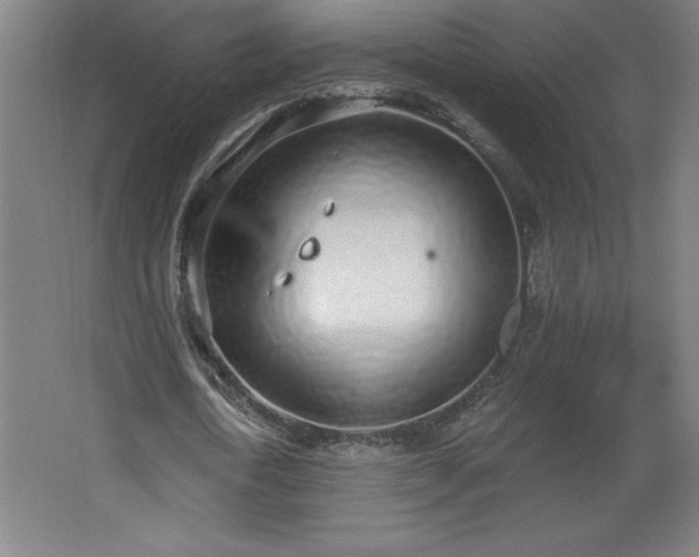 X0000068260722200604281525