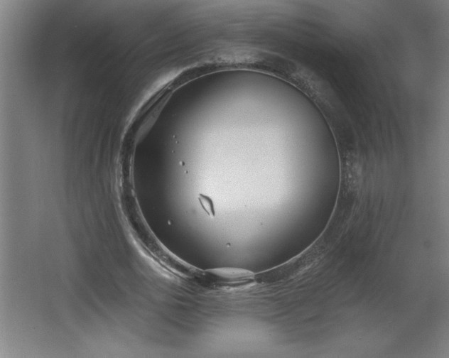 X0000068260726200604281525