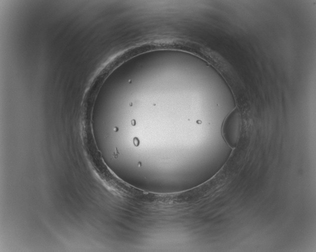 X0000068260728200604281525