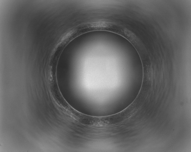 X0000068260731200604281525