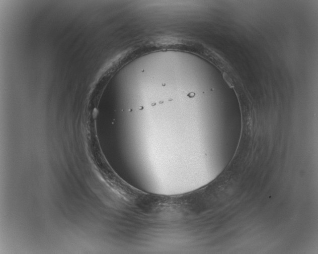 X0000068260732200604281525