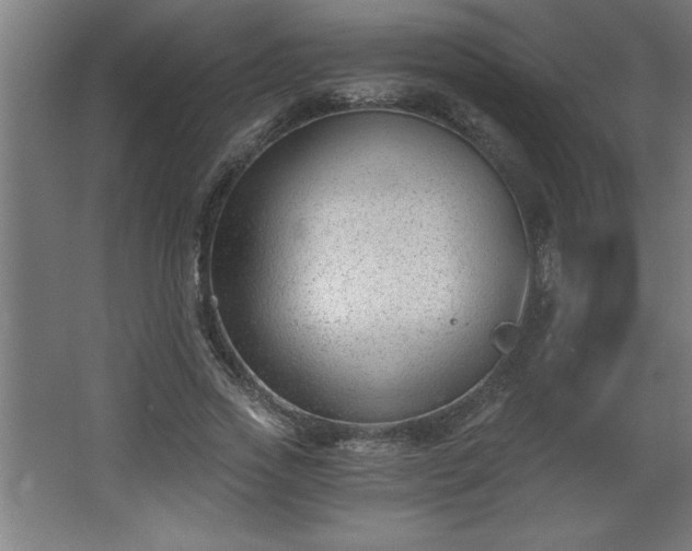 X0000068260733200604281525