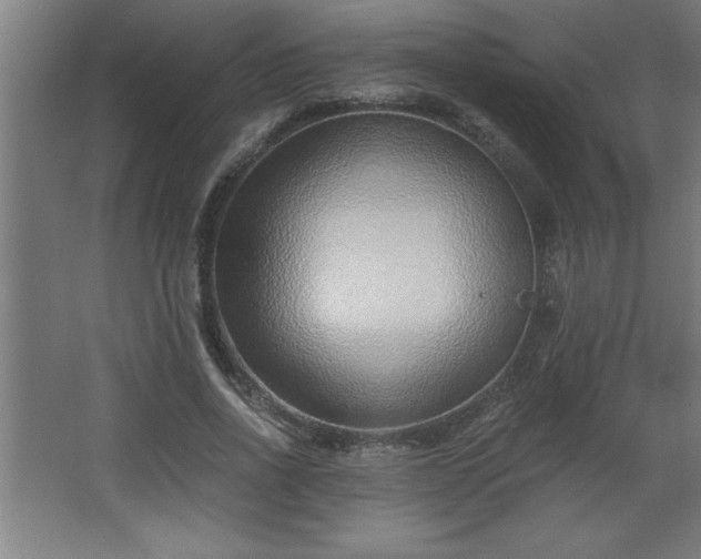 X0000068260734200604281525