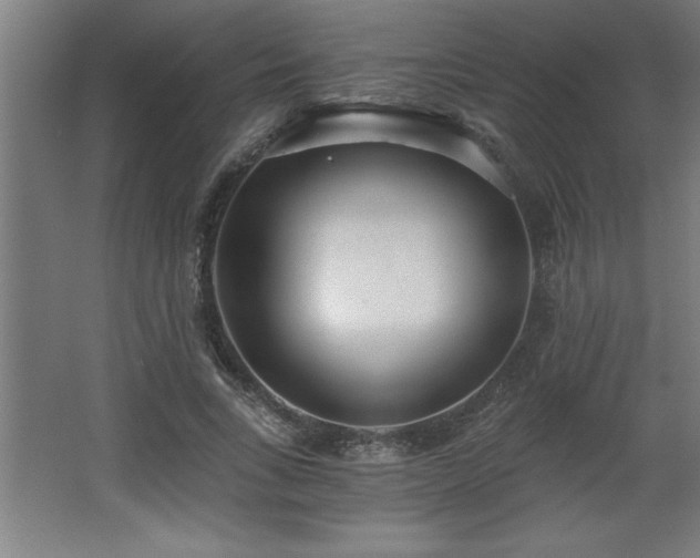 X0000068260735200604281525