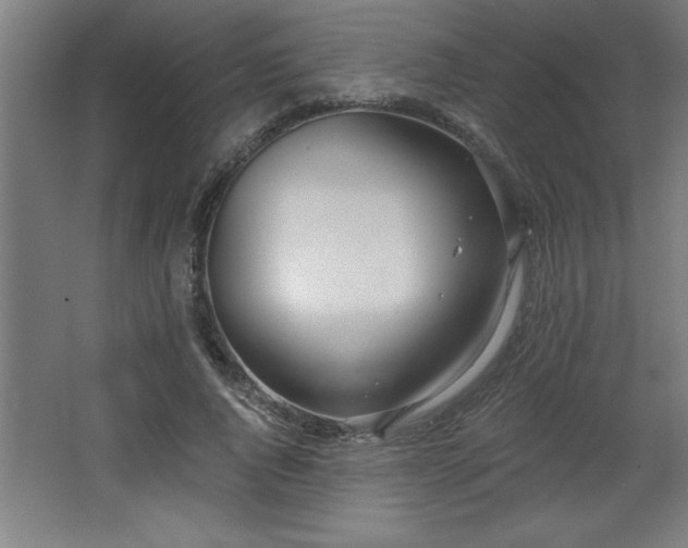 X0000068260736200604281525