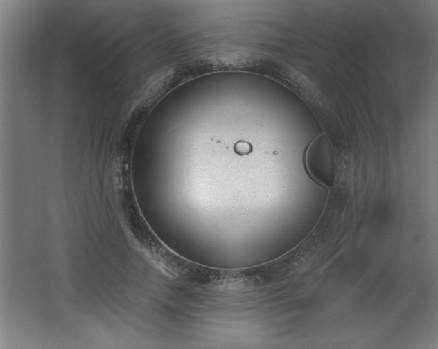 X0000068260738200604281525