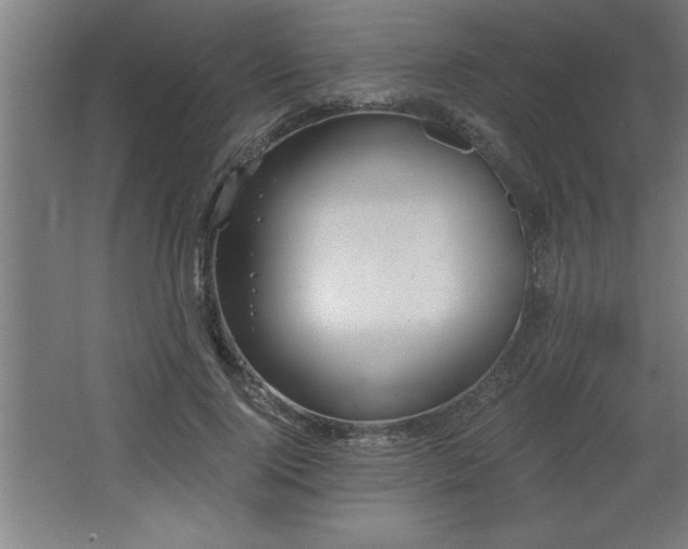 X0000068260740200604281525