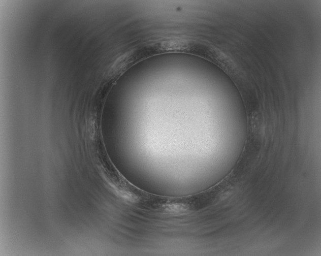 X0000068260741200604281525