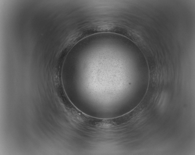 X0000068260743200604281525