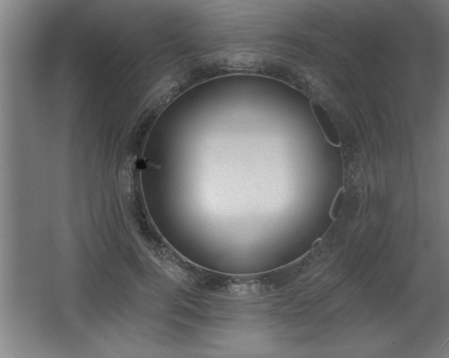 X0000068260744200604281525