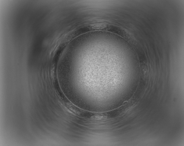 X0000068260745200604281525